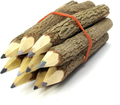 

Fully Stationary Items For Kids | Wooden pencils For Boy's & Girl's | Return Gift For Kids Pencil(Brown)