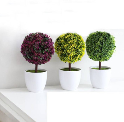 

priyathams Imported Bonsai Decoration Beautiful Purple/Green/Yellow Beautiful GRASS (Indoor/Potted) 30 seed all mix plant Seed(30 per packet)