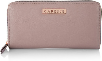 

Caprese Casual Brown Clutch