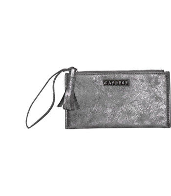 

Caprese Casual Silver Clutch
