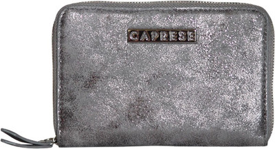 

Caprese Casual Silver Clutch