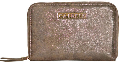 

Caprese Casual Gold Clutch