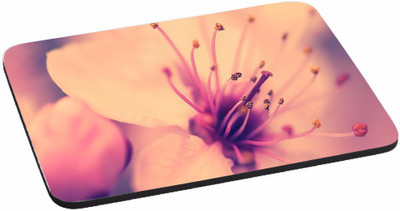 

PRINTHUBS NATURE Digitally Printed Mouse pad ! High Quality Anti Skid Mouse Pad For Desktop and Laptop Computer-White Mousepad Mousepad(Multicolor)
