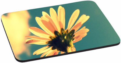 

PRINTHUBS NATURE Digitally Printed Mouse pad |High Quality Anti Skid Mouse Pad For Desktop and Laptop Computer Mousepad(Multicolor)