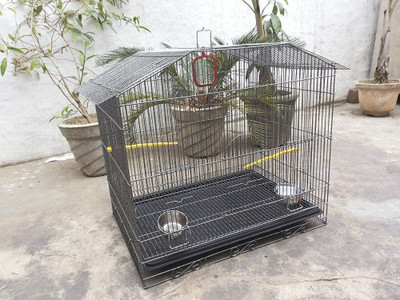 

Birds' Park Birds-Cage-034-Good-For-Budgerigars-Finch-Canary-Lovebirds-Dove-amp-Parrot-034 Birds-Cage-034-Good-For-Budgerigars-Finch-Canary-Lovebirds-Dove-amp-Parrot-034 Birds-Cage-034-Good-For-Budgerigars-Finch-Canary-Lovebirds-Dove-amp-Parrot-034 Have o