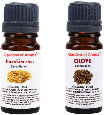 

Gardens Of Aroma Frankincense And Clove(20 ml)