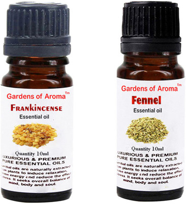 

Gardens Of Aroma Frankincense And Fennel(20 ml)