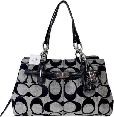 coach bags flipkart