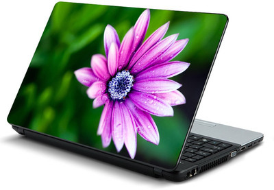 

fashionduet FDPC-LOT-10395 VINYL Laptop Decal 15.6