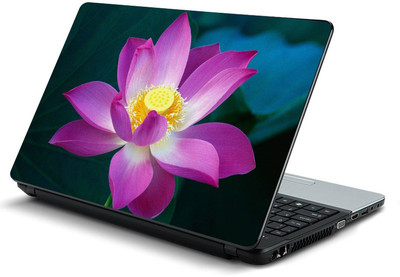 

fashionduet FDPC-LOT-10362 VINYL Laptop Decal 15.6