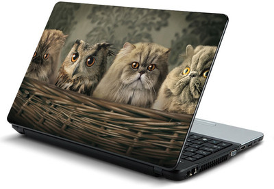 

fashionduet FDPC-LOT-10415 VINYL Laptop Decal 15.6