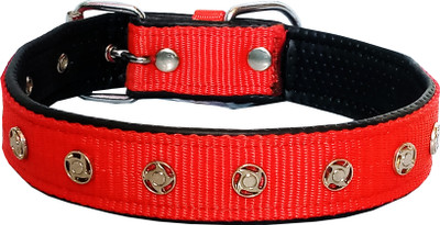 

Petshop7 Dog Everyday Collar(, Red