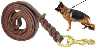 

Sri https://www.dropbox.com/s/8h56ui0ck2orr1b/6.jpgdl=0 15 cm Dog Chain Leash(Brown)