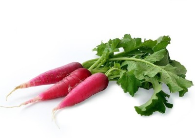 

Elif IMPORTED RED RADISH (INDOOR/POTTED) PLANT Seed(20 per packet)