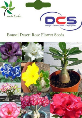 

ELIF Rose, Bonsai Seed(10 per packet)