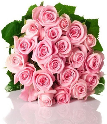 

Elif Pink Rose Seeds Seed(100 per packet)