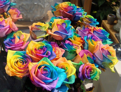 

ELIF rainbowrose Seed(100 per packet)
