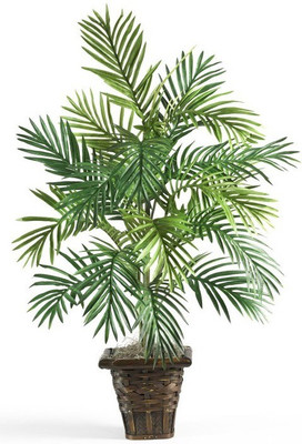 

ELIF Bamboo Seed(10 per packet)