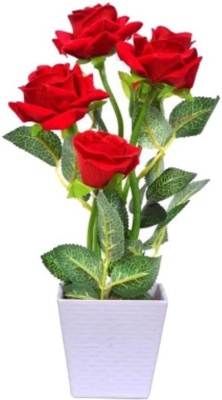 

ELIF Bonsai Imported Red Rose Plant Seed(10 per packet)