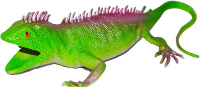 

Shop4everything Animal Kindgom S8(Green)