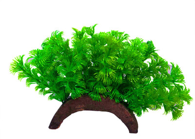 

Liger India Aquarium/ Fish Tank Decorative Artificial Plant Laterite Planted Substrate(Green)