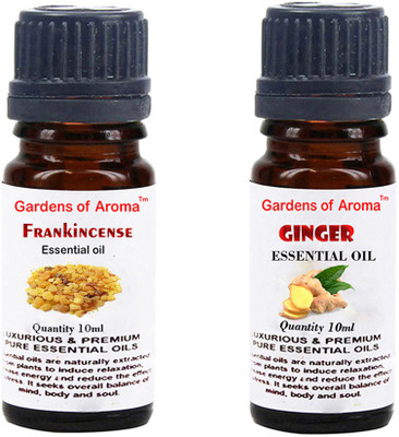 

Gardens Of Aroma Frankincense And Ginger(20 ml)