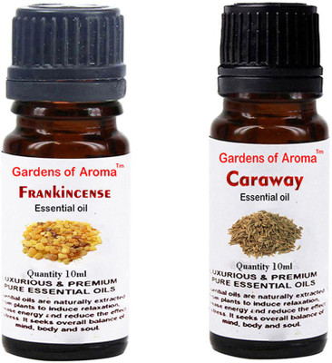 

Gardens Of Aroma Frankincense And Caraway(20 ml)