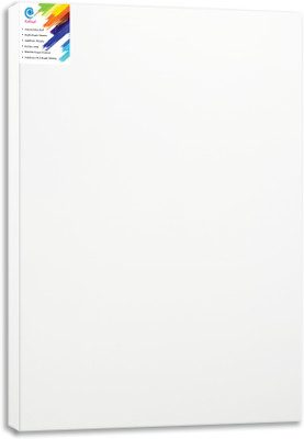 

KetKraft White Stretched Canvas Rectangle Linen Acid Free Pre Stretched Canvas (Set of 1)(White)