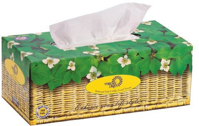 

Fresh Ones Facial Tissue Bouquet (200 Pulls X 2 Ply) Pack of 2(Pack of 400)