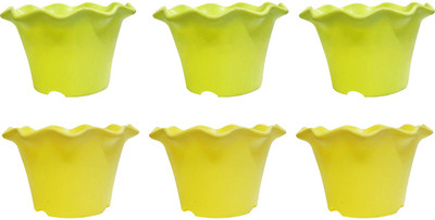 

SHOPTICO Plant Container Set(Plastic)