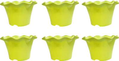 

SHOPTICO Plant Container Set(Plastic)