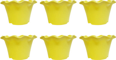 

SHOPTICO Plant Container Set(Plastic)