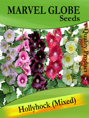 Gkart Hollyhock Mixed Seeds, Gulkhaira Seed(20 per packet)