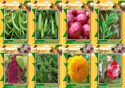 Airex Semphali, Green Long Brinjal, Onion, Cluster Bean, Red Amaranthus, Holy Basil (Shyama Tulsi), Sungold and Balsam Rose Gulab Seed (Pack Of 20 seed * 4 Per Pkts of Vegetables) + (Pack Of 20 Seed * 4 Per Pkts Flower) Seed Seed(20 per packet)