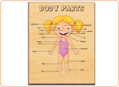 

Tomafo Body Parts Girls Board Game