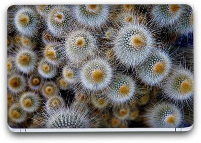 

Flipkart SmartBuy Beauty Of Nature 2 Vinyl Laptop Skin (Avery Vinyl, Matte Laminated, 15 x 10 inches) Vinyl Laptop Decal 15.6