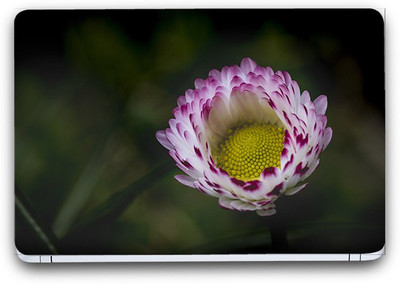

Flipkart SmartBuy Beauty Of Flowers 11 Vinyl Laptop Skin (3M/Avery Vinyl, Matte Laminated, 13 x 8.5 inches) Vinyl Laptop Decal 13.3