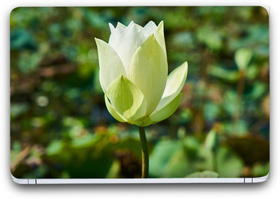 

Flipkart SmartBuy Enchanting White Flower 11 Vinyl Laptop Skin (3M/Avery Vinyl, Matte Laminated, 15 x 10 inches) Vinyl Laptop Decal 15.6