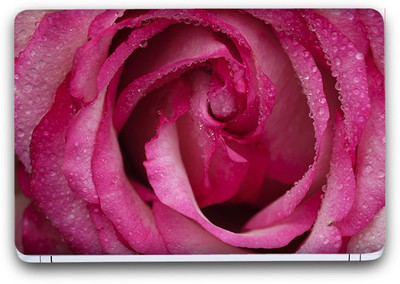 

Flipkart SmartBuy Pink Flower 5 Vinyl Laptop Skin (3M/Avery Vinyl, Matte Laminated, 15 x 10 inches) Vinyl Laptop Decal 15.6