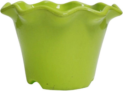 

SHOPTICO Plant Container Set(Plastic)