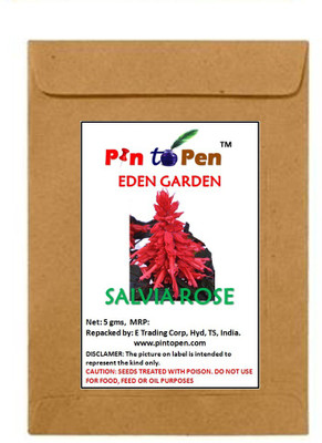 

Pin to Pen common sage, culinary sage Seed(35 per packet)
