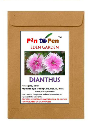 Pin to Pen carnation, Sweet William Seed(40 per packet)
