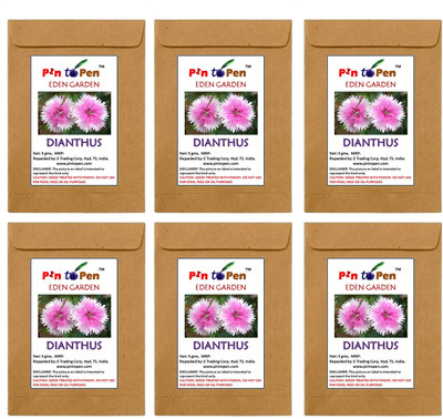 Pin to Pen carnation, Sweet William Seed(40 per packet)