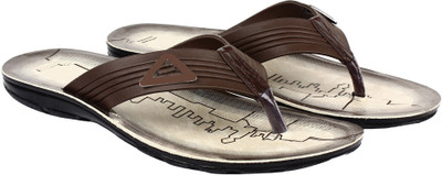 

Shoefly Brown-685 Slippers