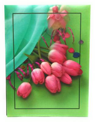 Natraj Studio Memo Screw Type High Quality Photo Album 300 Pocket (Photo Size Supported: 4'x6') Album Price in India - Buy Natraj Studio Memo Screw Type High Quality Photo Album 300 Pocket (Photo Size Supported: 4'x6') Album online at Flipkart.com