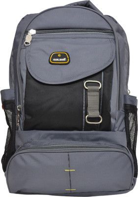 

EXEL Trendster & Unique 25 L Laptop Backpack(Grey)