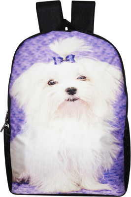 

Nirang NRB1505 23 L Laptop Backpack(Multicolor)