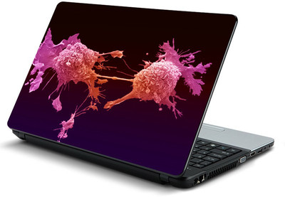 

fashionduet FDPC-LOT-1-0793 VINYL Laptop Decal 15.6