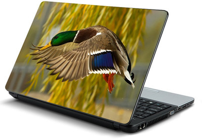 

fashionduet FDPC-LOT-1-0866 VINYL Laptop Decal 15.6