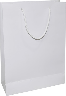 

Aspen India Solid Party Bag(White, Pack of 24)